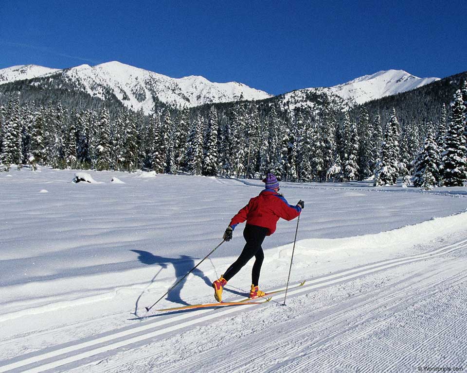 Тоже Лыжный спорт (skiing)